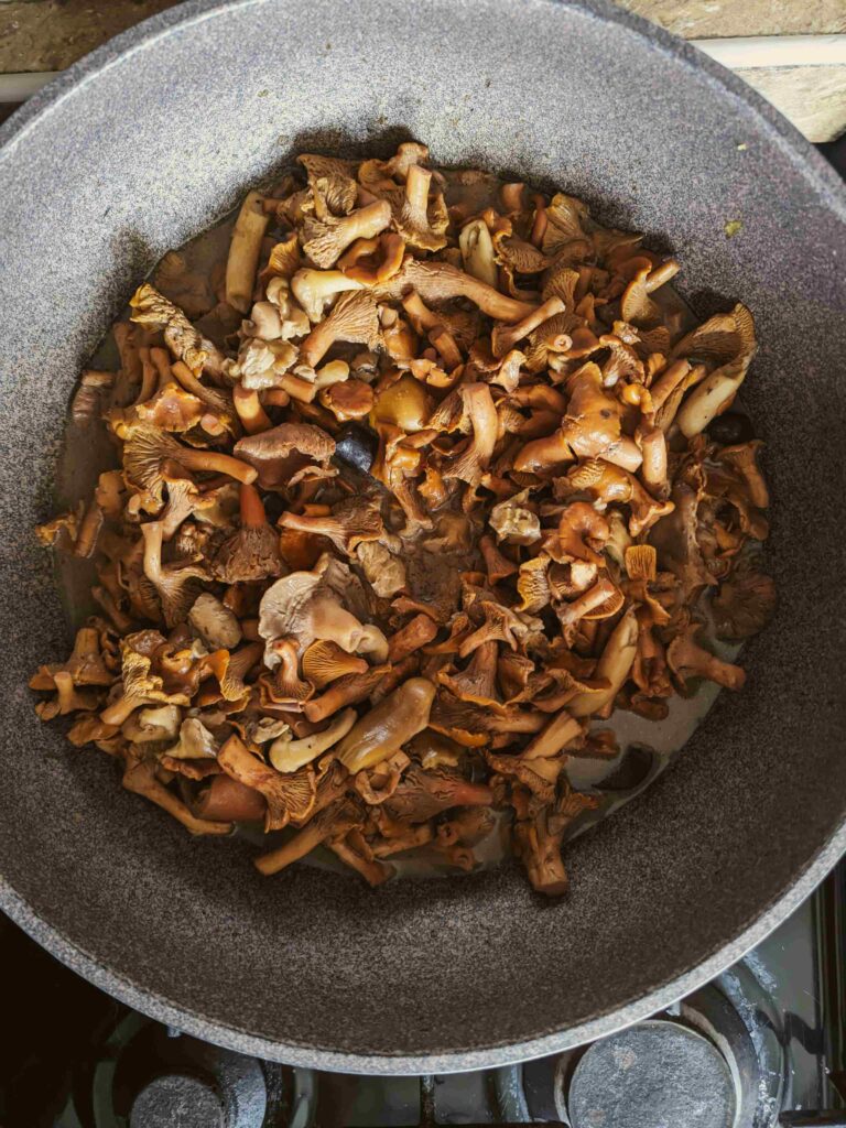 AGC_20240531_110755446